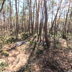 ＜白馬神城＞名鉄別荘地内 売地1/2区画