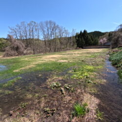 ＜白馬佐野＞見晴らしのいい売地（原野）！