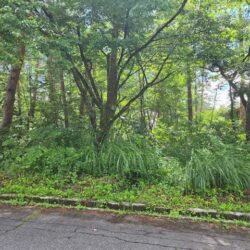 ＜名鉄別荘地＞売地