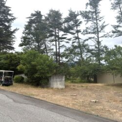 北側敷地（空地）外観