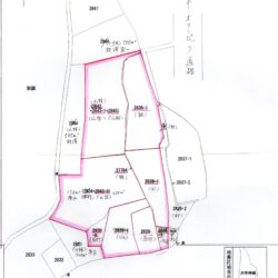 公図
