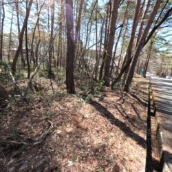 外観と接道