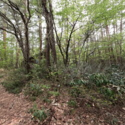 ＜みそら野＞北通り 売地（古家あり）